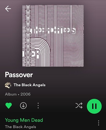 Screenshot_20230602_155908_Spotify
