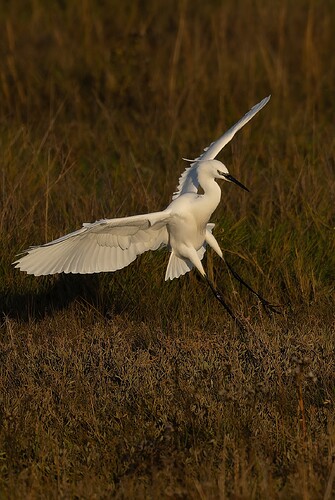 IMG_2761