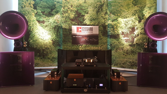 15259428429701687461315