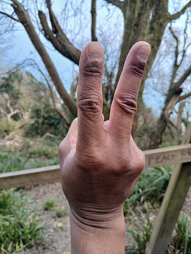 1000127647