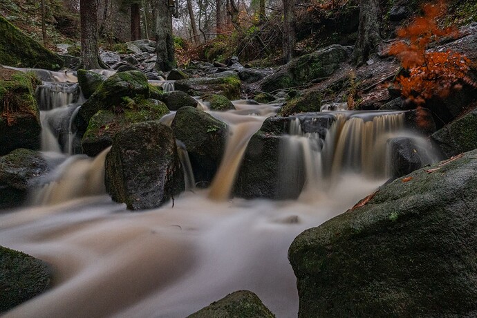 _DSC1186