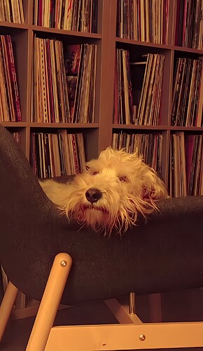 2024-03-18-19-50-53-402