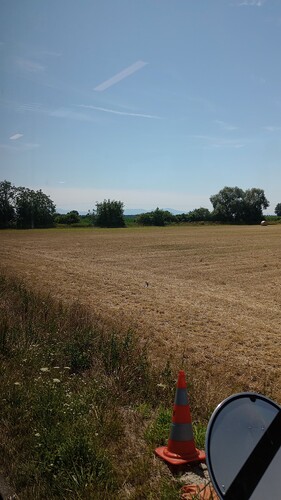 IMG_20250705_113935003