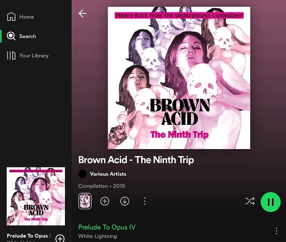 Screenshot_20240215_203335_Spotify