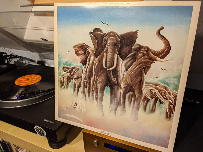 PXL_20210226_195502221