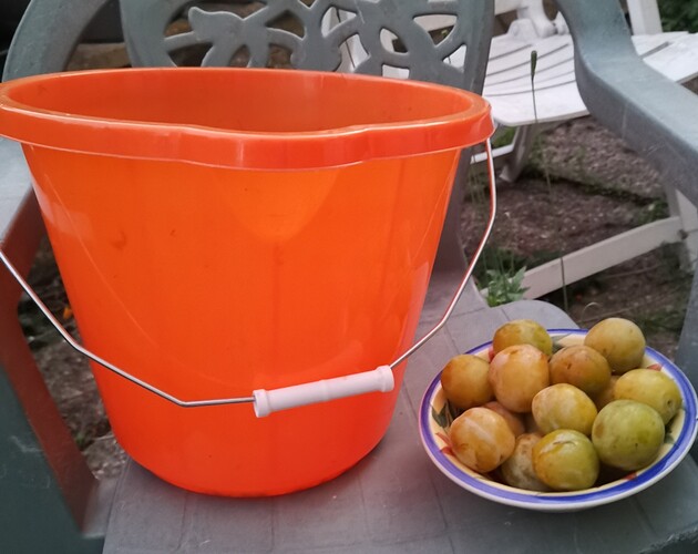 IMG_20220810_210512-01