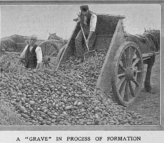 547892807_1322401139934317_7307120446520202845_n