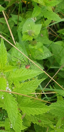 20210830_102213_resized