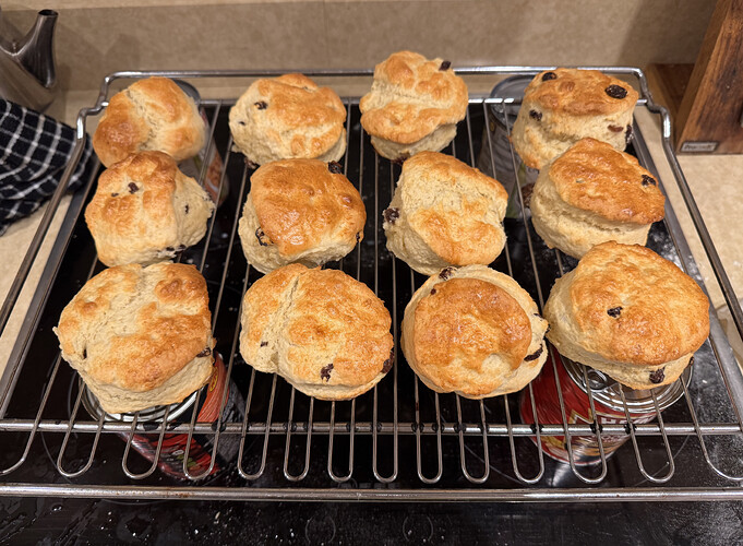 93AC3810-01FE-473F-B17A-0E0D2DFE9387_1_201_a