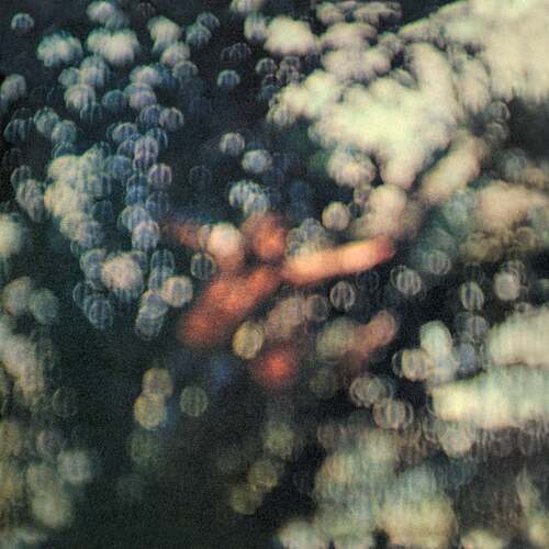 1000041363