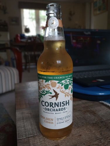 IMG_20250629_131232721_MF_PORTRAIT