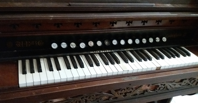 organ3