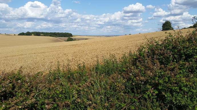 Stokenchurch%20from%20Farnborough%20small