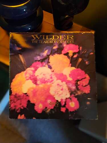 Wilder