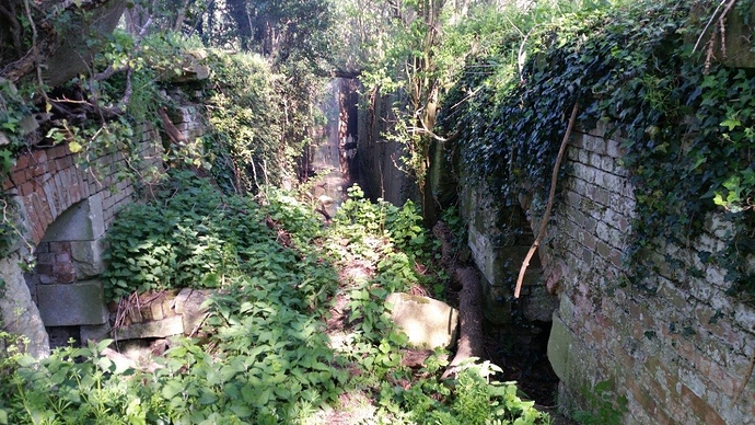 21 Apr Ardington Marsh lock
