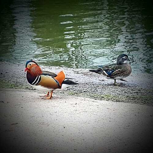 IMG-20210321-WA0001