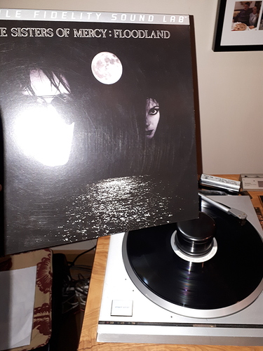 15363522216296829574523728008783