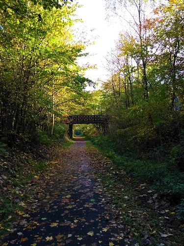 IMG_20181010_135643390