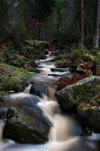 _DSC1171 (1)