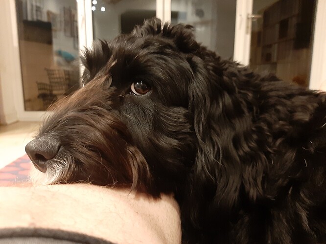 20240330_223031_copy_1416x1062