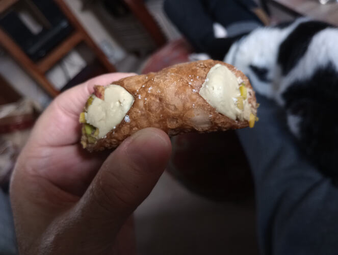 IMG_20260331_152954455