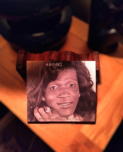 My Back Was A Bridge For You To Cross