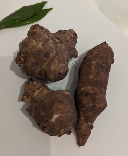 PXL_20230301_164829849