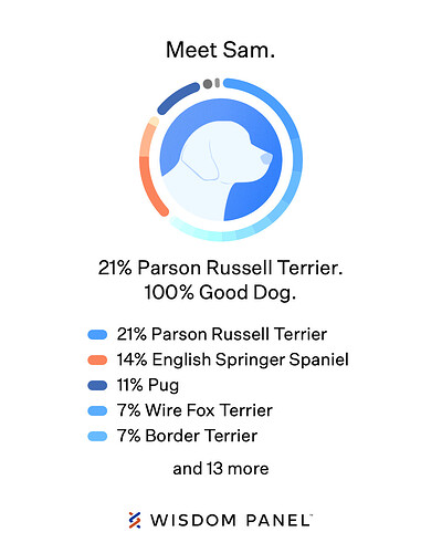 Wisdom Panel Results for Sam