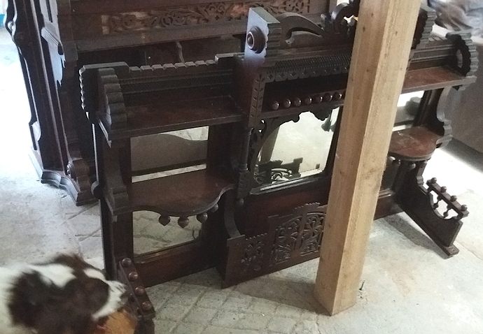 organ1