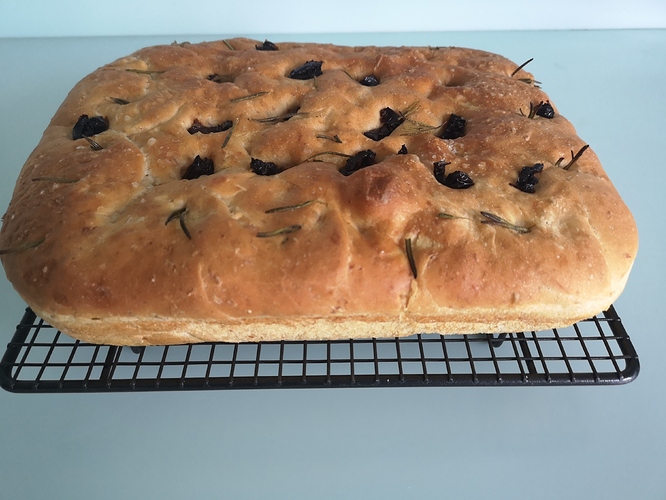 IMG_20190930_080339_BURST001_COVER