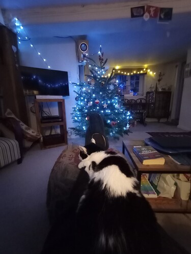 IMG_20251206_162949700