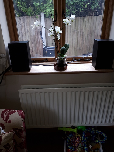 15330423575544182679935601232508