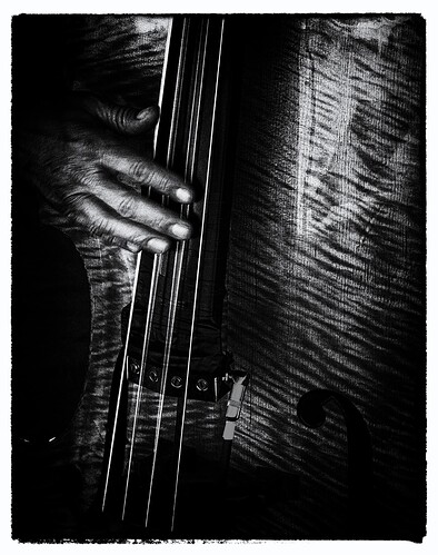 DOUBLE BASS4