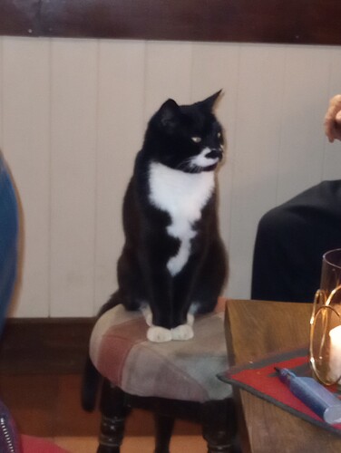 IMG_20251219_124139612