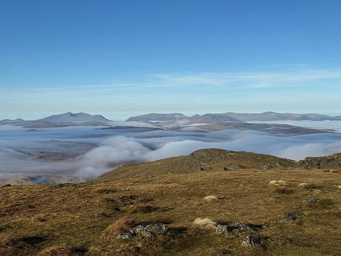 D56B4522-9919-43B4-A238-949F85674C35_1_102_o