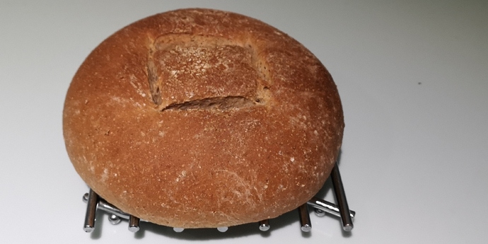 IMG_20191106_170451_BURST001_COVER