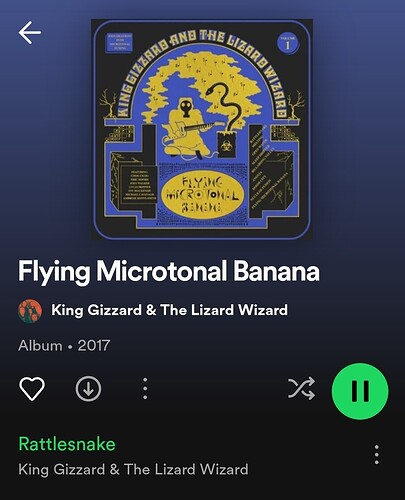 Screenshot_20230602_150832_Spotify