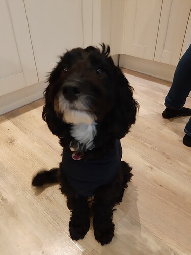 20240307_164853_copy_1062x1416