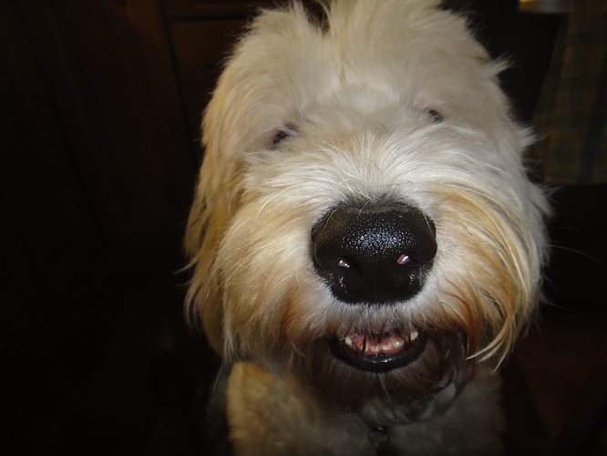 milly-nose
