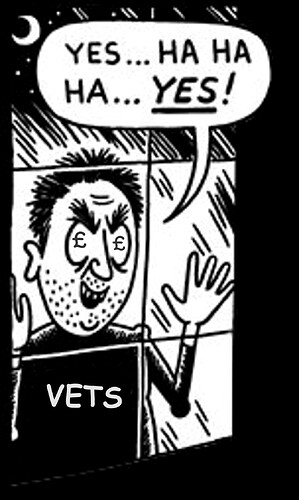 VETS