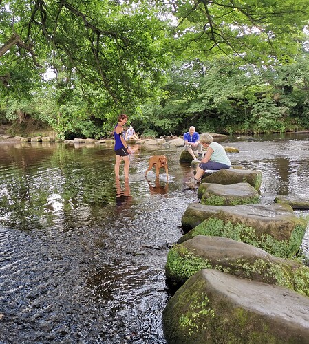 IMG_20210722_140722-01