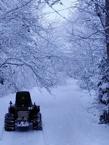 17708948382893710653048469886366