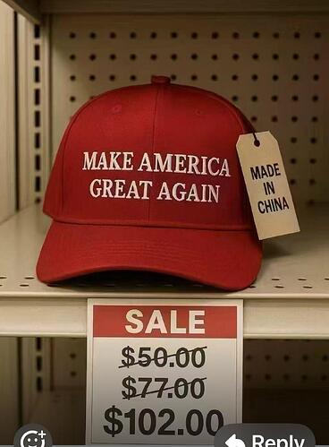 WhatsApp Image 2025-04-11 at 11.31.10