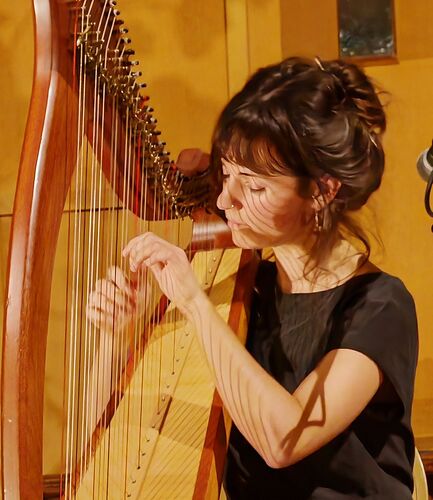 Tamsin Elliott at Highfield