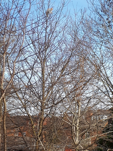 20190320_084858