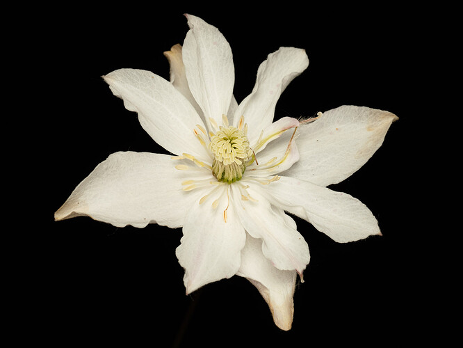 OM-1-5170425