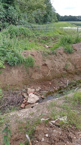 Clifton Hampden ditch