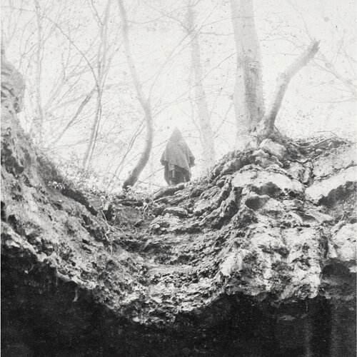 proxy-image (3)