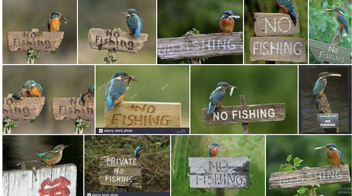 Screen Shot 2020-10-21 at 11.53.16