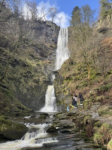 9C3F6421-2BEE-45FA-A76C-F523CD217EC5_1_105_c